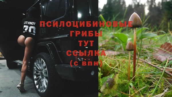 молекула духа Магас