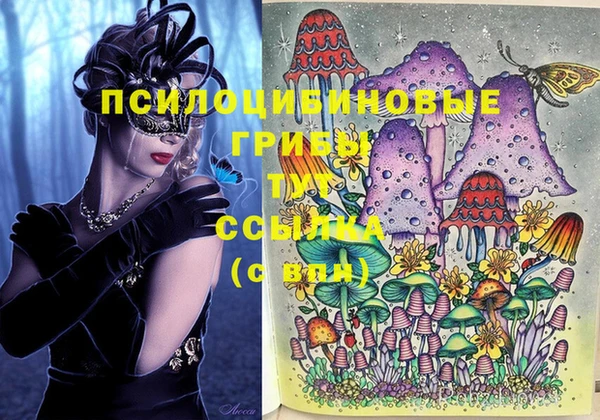 молекула духа Магас