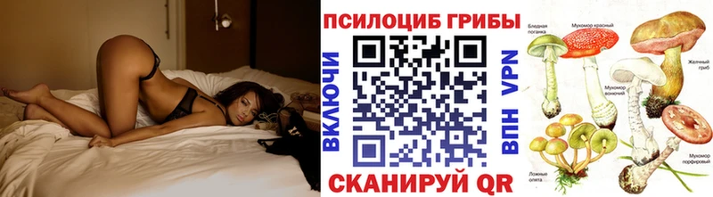Галлюциногенные грибы мицелий Петушки