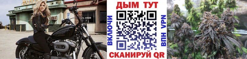 mega как зайти  Петушки  Шишки марихуана Ganja  где купить наркотик 